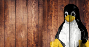 Linux pengiun.