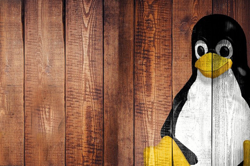 Linux pengiun.