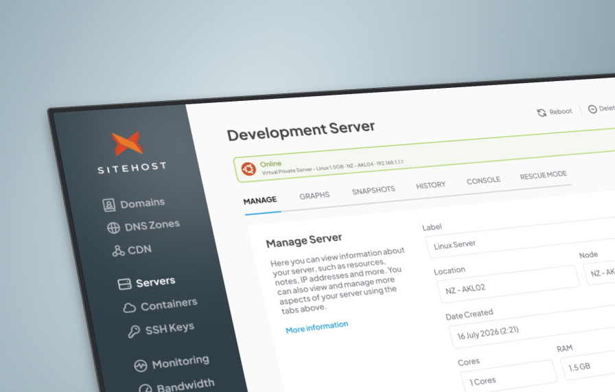 Screenshot of the Developer VPS control panel.