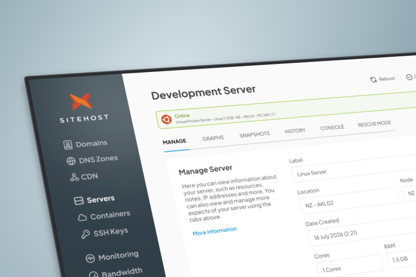 Screenshot of the Developer VPS control panel.