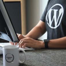 A person using WordPress.